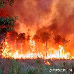 Bosbrand in Bordeaux verwoest panden, vuurzee blijft onbeheersbaar