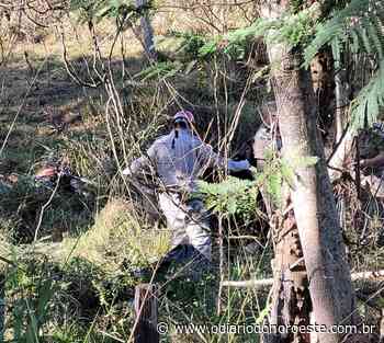 Identificada motociclista que morreu durante acidente em rodovia de Itaperuna - O Diário do Noroeste