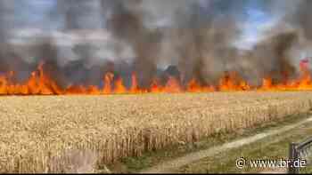 Brand im Landkreis Augsburg: Weizenfeld zum Großteil zerstört - br.de