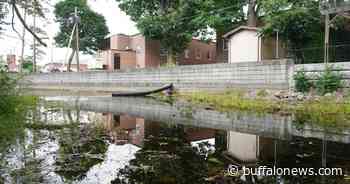 Foul stench drives Williamsville, Amherst to repair Ellicott Creek dam - Buffalo News