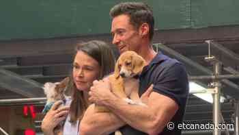 Hugh Jackman and Sutton Foster snuggle pups at 'Broadway Barks' - ETCanada.com
