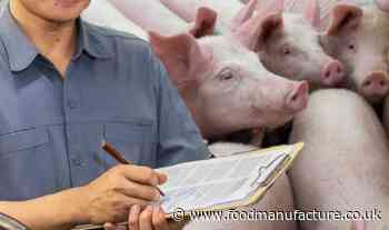 Government launches pig supply chain review