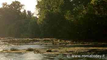 Approfittare della secca per dragare il Tevere: "Va fatto ora, anche per futura navigabilità"
