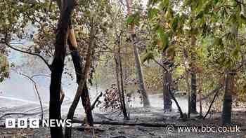 Essex Firefighters tackle field and scrapyard fires
