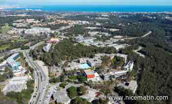 Urban trail, événements... des festivités pour célébrer les 20 ans de Sophia Antipolis