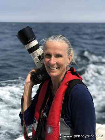 Camden Yacht Club to host free seminar by photographer Alison Langley - PenBayPilot.com