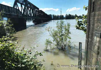 Flood threat recedes, but Fraser River still high near Langley – Chilliwack Progress - Chilliwack Progress