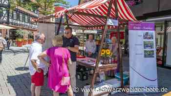 25 Jahre Bürgerforum Nagold: Und sie sind rührig geblieben