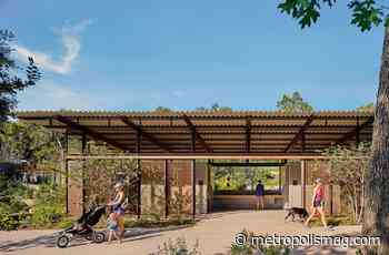 Landscape and Architecture Go Hand-in-Hand at Austin's Pease Park - Metropolis - Metropolis Magazine