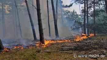 Waldbrand noch nicht endgültig gelöscht: Neue Flammen bei Brand in Lieberoser Heide - rbb24