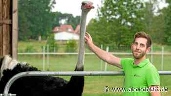 Schweine ab-, Strauße angeschafft: Farmbesuch in der Heide - Hamburger Abendblatt