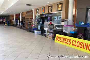 City of Delta's freeze on cannabis store applications - Delta Optimist