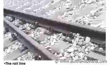 Delta: Vigilante group frustrates railway vandals in Abraka – The Sun Nigeria - Daily Sun