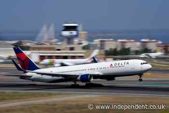 Man thrown off Delta flight after striking passenger and flight attendant - The Independent