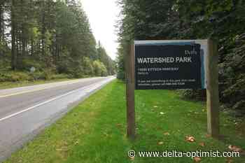 Reducing the risk of wildfire at Delta's Watershed Park - Delta Optimist