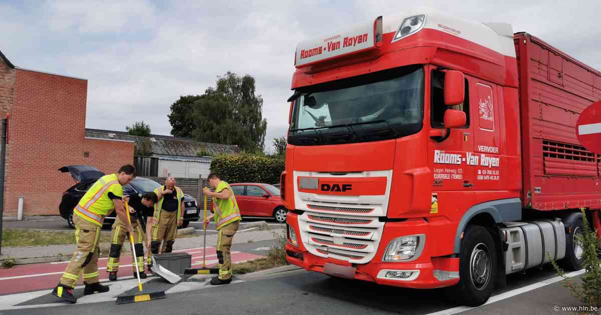 Kop-staartaanrijding tussen auto en vrachtwagen op kruispunt Duivenhoek - Het Laatste Nieuws