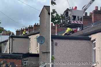 Dramatic moment toddler is rescued from roof