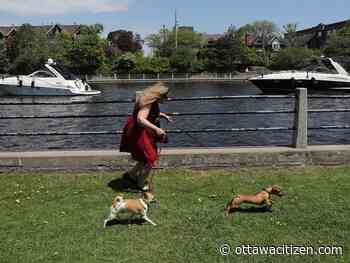 Weekend weather: Ottawa will be hot, hot, hot (and sweaty) into next week