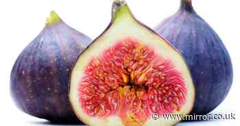 Gross reason figs aren't suitable for vegetarians will put you off them forever