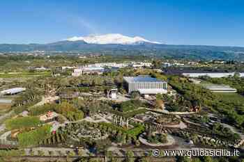 Il Radicepura Garden Festival di Giarre cerca idee per ''Il Giardino delle Piante'' - Guidasicilia