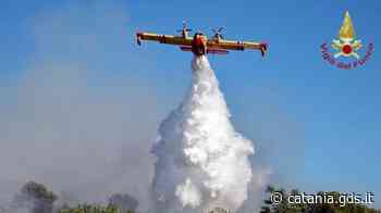 Giarre, a fuoco una vasta zona di sterpaglie e rifiuti: in azione un Canadair - Giornale di Sicilia