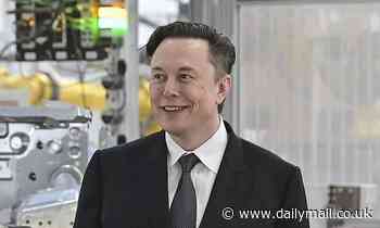 Delaware judge will hear Twitter's case against Elon Musk NEXT WEEK