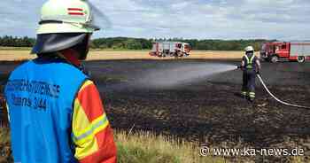 Ein weiterer Flächenbrand in Stutensee: Feuerwehr rettet große Zahl von Tieren vor den Flammen | ka-news - ka-news.de