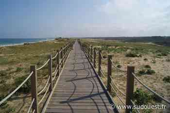 Landes : des randonnées « nature » d’Hossegor à Capbreton - Sud Ouest