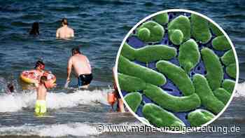 Bakterien in der Ostsee: Urlauberin infiziert sich und muss ins Krankenhaus