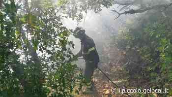 Incendio di sterpaglie nell’area sotto la Napoleonica a Trieste - Il Piccolo