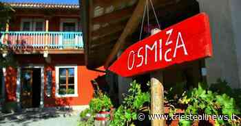 Cosa sono le osmize di Trieste e dove trovarle: ecco sei “frasche”... - Trieste News