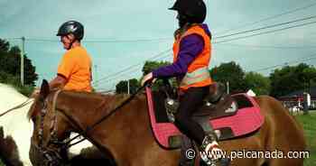 Safety tips for sharing the Confederation Trail | Coronavirus - peicanada.com
