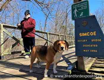 Pave paradise? Norfolk council grapples with trail paving - Brantford Expositor