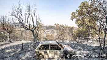 Waldbrände in Portugal zerstören mehr als 38.000 Hektar Fläche