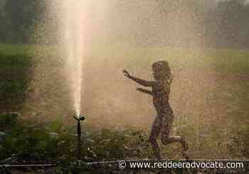 Common-law couples on the rise, Statistics Canada data show - Red Deer Advocate