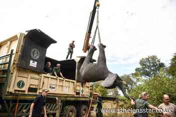 Malawi moves elephants from overcrowded park to larger one - St Helens Star