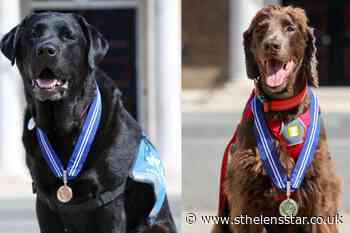 Five dogs honoured for years of service to British public - St Helens Star