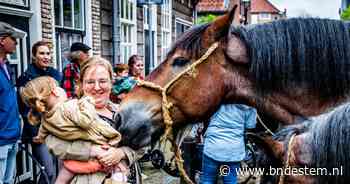 Regen zit paardenmarkt in Numansdorp dwars | Hoeksche Waard | bndestem.nl - BN DeStem