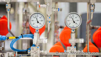 Energieversorgung: Frieren gegen Putin? Worauf sich Wirtschaft und Bürger bei einem Gasnotstand einstellen müssen - Handelsblatt