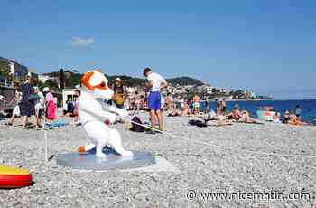 À Nice, le chien Totor aide les nageurs à s’extirper de l’eau de mer