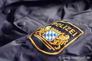 Lindau: Komplett verkabelt zur Führerscheinprüfung - BSAktuell