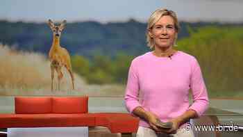 Frankenschau aktuell | 13.07.2022 : Mehr Grün für Erlangen, Ein Jahr nach dem Hochwasser in Selbitz, Theatergruppe in Not - br.de