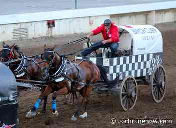 Chuckwagon races now in the homestretch at the Calgary Stampede - CochraneNow.com