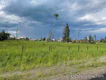 Environment Canada gives rating to Bergen tornado - CochraneNow.com