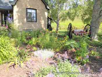 The Cochrane Museum: It's back! - Cochrane Times