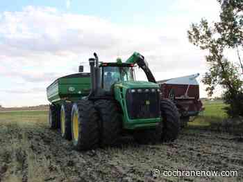 CCGA on record pace for cash advances - CochraneNow.com