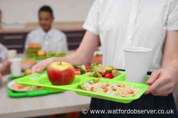 Free summer meals for Hertfordshire school children