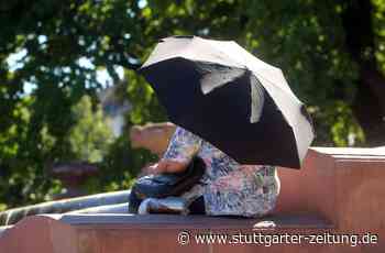 Hitzeaktionsplan in Mannheim: „Hitze ist eine unterschätzte Gefahr“ - Stuttgarter Zeitung