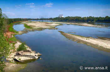 Siccità: guerra legale tra Lodi e Crema, esposto di 34 aziende - Terra & Gusto - Agenzia ANSA