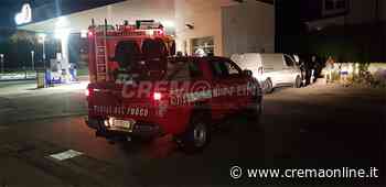 Crema, gattino salvato dai vigili del fuoco - Crem@ on line